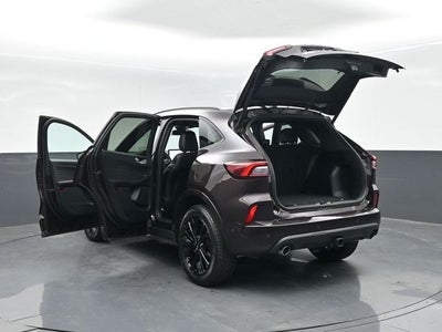 2023 Ford Escape ST-Line Elite