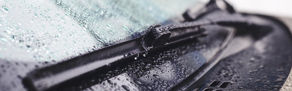 Free Car Wash